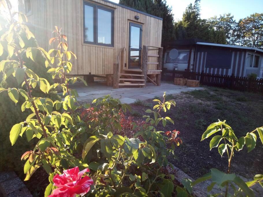 Willa Tiny House Calido Apelern Zewnętrze zdjęcie